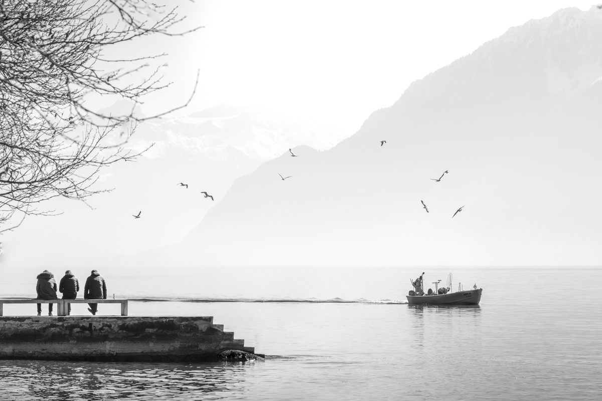 midi sonne et le lac s’anime